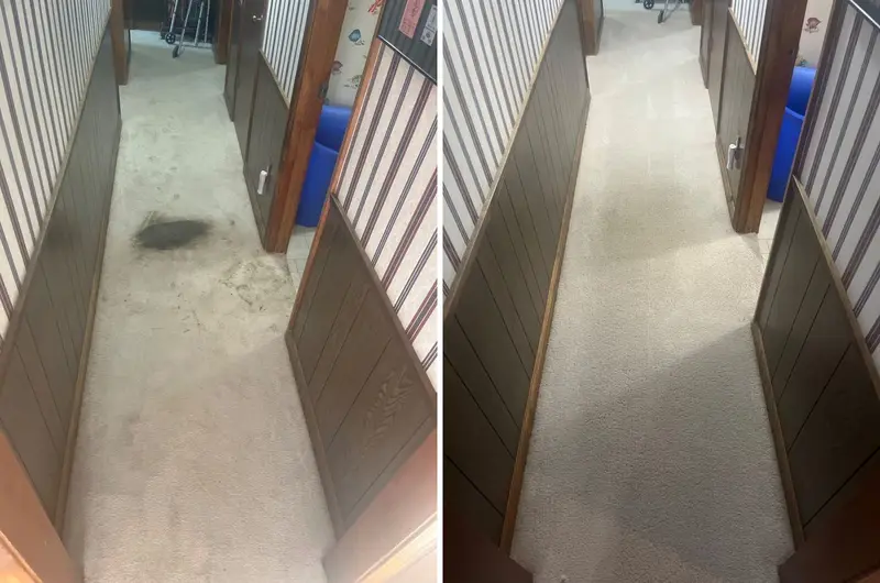 Before and after: Hallway carpet with a large black stain and dirty marks, then the same hallway with clean, even carpet