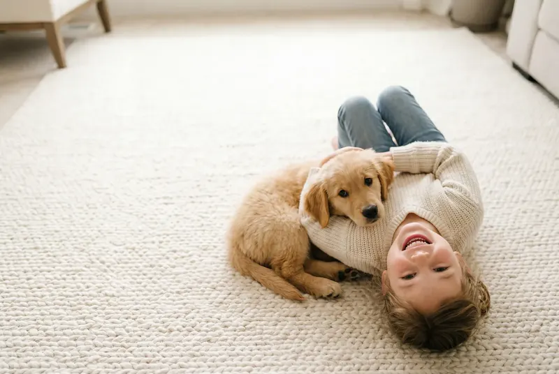 The Complete Pet Stain & Odor Guide